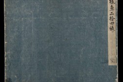 各样鱼图册.十二册.二百八十八幅.水粉.外销画.约1773-1776年 PDF电子版下载