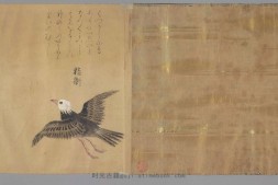 怪奇鸟兽图卷.高清.136080X3000像素.约绘制于日本江户时期.成城大学图书馆藏 PDF电子版下载