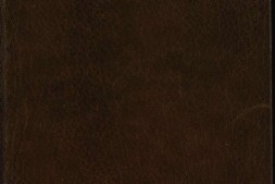 鸟类飞行手稿.Codice sul volo degli uccelli.达芬奇著.By Leonardo da Vinci.1505-1506年.都灵皇家图书馆藏 PDF电子版下载