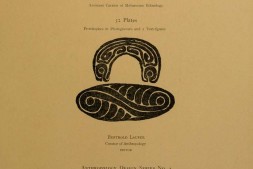 Decorative art of New Guinea.新几内亚的装饰艺术.by.Al.Bert Buell Lewis.1925年菲尔德自然史博物馆出版 PDF电子版下载