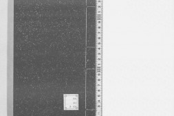 东都事略.130卷.宋.王称撰.南宋蜀眉山程舍人宅刊.修有配.20册.静嘉堂文库藏 PDF电子版下载