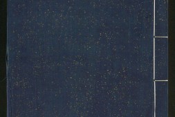 中兴馆阁录.十卷.续录十卷.宋.陈骙等撰.宋嘉定三年宝庆至咸淳年间增补刊本.缺卷一.续集卷九 PDF电子版下载