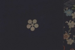 兵技指掌图说.清道光二十三年讷尔经额序.清绘本 PDF电子版下载