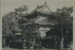 北京孔庙祭孔仪式场景.二十五幅.普意雅旧藏.民国初期.中国国家图书馆藏 PDF电子版下载