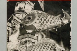 北支.摄影杂志.1941年1月-12月 PDF电子版下载