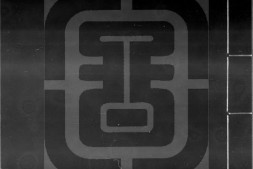 十驾斋养新录.二十卷.清.钱大昕撰.清嘉庆时期刊本.书号.04682.灰度胶片 PDF电子版下载