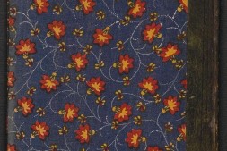 华阳金仙证论.柳华阳撰注.清嘉庆16年刊本.1811年 PDF电子版下载