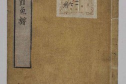 博物馆鱼谱 PDF电子版下载