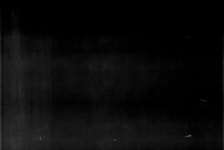 友林乙稿.一卷.宋.史弥宁撰.清影宋抄本.灰度胶片 PDF电子版下载