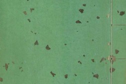 古杂剧二十种.书内版画.明.王骥德编.明万历年时期顾曲斋刻本 PDF电子版下载