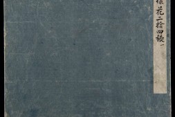 各样花图册.十二册.二百八十八幅.水粉.外销画.约1773-1776年 PDF电子版下载