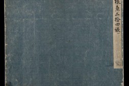 各样鱼图册.十二册.二百八十八幅.水粉.外销画.约1773-1776年 PDF电子版下载