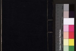 咏怀堂新编十错认春灯谜记.二卷.明.阮大铖撰.清初刊本 PDF电子版下载