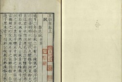 唐人小集.十种合刻.王勃.杨炯.卢照邻.骆宾王.沈云卿.宋之问.陈伯玉.杜审言.孟浩然.高常侍.疑.明嘉靖时期刻本 PDF电子版下载