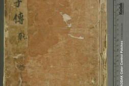 唐才子传.十卷.元.辛文房.撰.五山版.日本南北朝刊本.杨守敬手书题记 PDF电子版下载