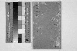 图像绣榻野史.二卷.明.吕天成著.明种德堂刊本.灰度普清 PDF电子版下载