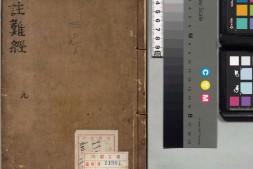 图注八十一难经.八卷.明.张世贤撰.明嘉靖三十三年吴门沈氏碧梧亭刊本 PDF电子版下载