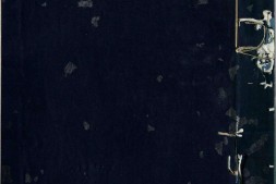 图注八十一难经.八卷.明.张世贤撰.明正德五年扬州吕邦佑刊本 PDF电子版下载