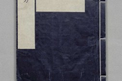 外台秘要方.唐.王焘撰.卷01至20.总四十卷.日本嘉永六年影钞南宋绍兴时期两浙东路茶盐司刊本.杨守敬旧藏 PDF电子版下载