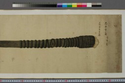 外国产动物图巻 PDF电子版下载