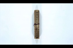 外国珍禽异鸟图 PDF电子版下载