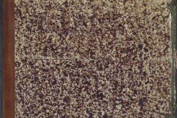 外销画册.贵族生活.附制瓷图.水粉画.约1821年.奥地利国家图书馆藏 PDF电子版下载