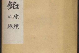大唐王居士砖塔铭.2种.上官灵芝撰.敬客书.唐显庆三年.658年.清拓本 PDF电子版下载