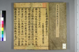 大方广佛华严经.第42卷.宋刻残本.实叉难陀译 PDF电子版下载