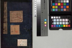 幼幼新书.残一卷.卷三十八.卷南宋刘昉等辑撰.宋刻本 PDF电子版下载