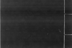 文心雕龙.十卷.南朝梁.刘勰撰.明弘治十七年冯允中刊本.灰度胶片 PDF电子版下载