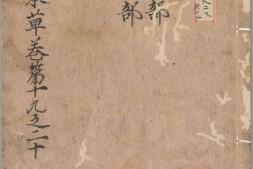 新编类要图注本草.卷19至42.总四十二卷.宋唐慎微.寇宗奭撰.宋末元初建安余彦国励贤堂刊本 PDF电子版下载