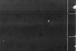 新锲燕台校正天下通行文林聚宝万卷星罗.三十九卷.明.徐会瀛.辑.明万历时期书林馀献可刊本.书号11730.灰度胶片 PDF电子版下载