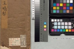 新镌批评绣像玉娇梨小传.版画插图.清.荑秋散人编次.清初刊本 PDF电子版下载