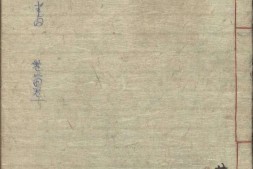 景岳全书.卷01至24.总二十四集.六十四卷.明.张介宾著.清康熙四十九年会稽鲁超刊订本 PDF电子版下载