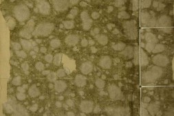 月令辑要.二十四卷.卷首.清.李光地等撰.清康熙时期内府四色套印本 PDF电子版下载