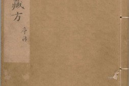 杨氏家藏方.二十卷.南宋.杨倓.辑.南宋淳熙十二年跋刊本 PDF电子版下载