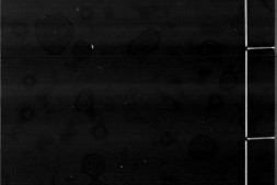 武德全书.十五卷.明.李槃辑.明万历十八年汪一鸾刊本.书号12624.灰度胶片 PDF电子版下载