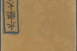 永乐大典.卷12506-12507.宋字.明嘉靖隆庆间内府重写本 PDF电子版下载