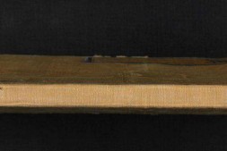 永乐大典.卷19740-19741.录字.明嘉靖隆庆间内府重写本 PDF电子版下载