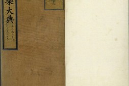 永乐大典.卷20308至20309.一字等.明嘉靖隆庆间内府重写本.台北故宫博物院藏 PDF电子版下载