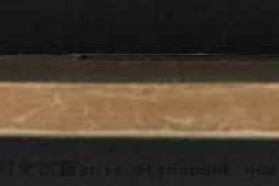 永乐大典.卷6933-6934.唐字.明嘉靖隆庆间内府重写本 PDF电子版下载