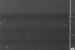 牧牛图颂.释普明撰.明万历三十七年刊本.灰度胶片 PDF电子版下载