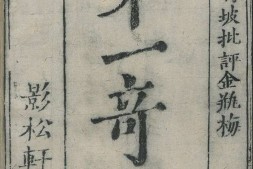 皐鹤堂批评第一奇书金瓶梅.清.张竹坡批.版画部分.影松軒藏板.德国国家图书馆藏.清代刊本 PDF电子版下载