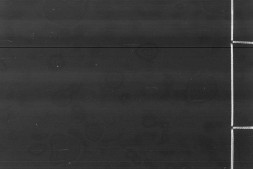 礼记集说.十六卷.元.陈澔撰.明正统时期内府刊本.书号09732.灰度胶片 PDF电子版下载