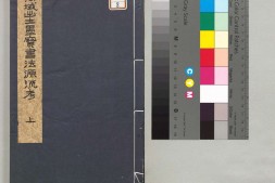 禹域出土墨宝書法源流考.3卷.中村不折编录.西东书房出版.1927年 PDF电子版下载