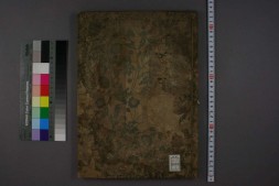 立花图.山中忠左衛門.1698 PDF电子版下载