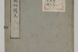 第二内博諸県.動物写生 PDF电子版下载