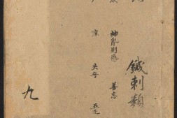 类经.卷18至25.总三十二卷.图翼十一卷.附翼四卷.明.张介宾类注.明天启四年刊本.含内经原目 PDF电子版下载