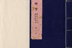 红楼梦.一百二十回.清.曹雪芹撰.高鹗撰.陈其泰批校题跋并圈点.清乾隆五十七年萃文书屋活字印本.程乙本 PDF电子版下载