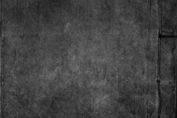 红楼梦.一百二十回.清.曹霑.高鹗撰.清东观阁刊本.书号18348.灰度胶片 PDF电子版下载